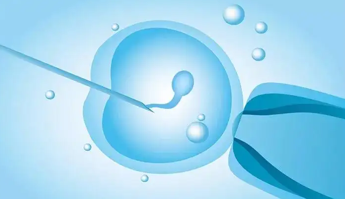 香港借腹生子选性别：试管婴儿移植后腹泻会影响受精吗？